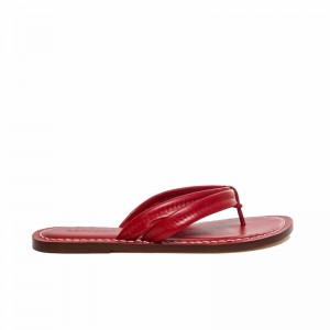 Sandalias Deslizantes Bernardo Miami Thong Mujer Rojas | PIR6214YD
