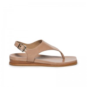 Sandalias Planas Bernardo Concord Thong Mujer Marrones Claro | ISM2642OD