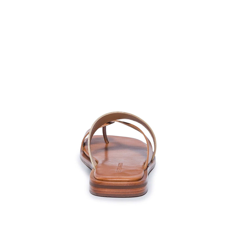 Sandalias Deslizantes Bernardo Amelia Cross Strap Mujer Doradas Marrones | HTS3978JS