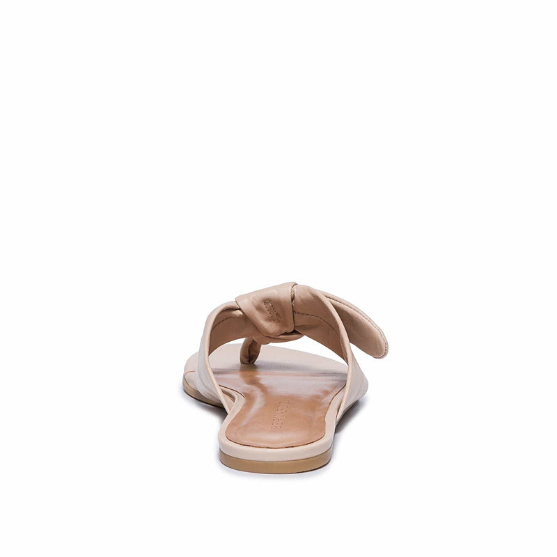Sandalias Deslizantes Bernardo Harmony Thong Mujer Rosas | IDL6882IM