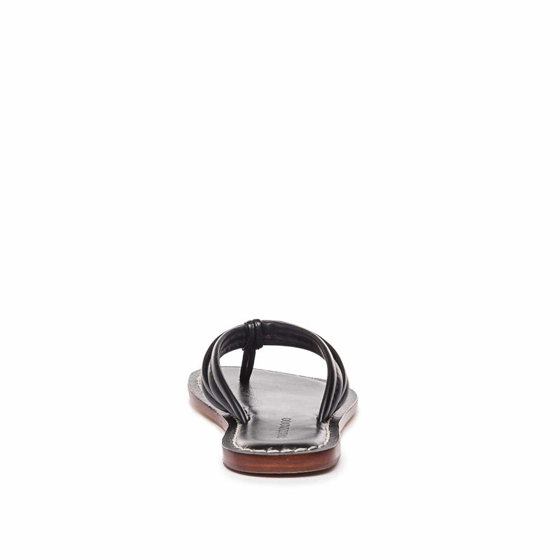 Sandalias Deslizantes Bernardo Miami Thong Mujer Negras | OTZ4657AH