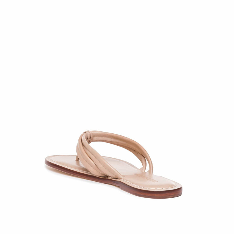 Sandalias Deslizantes Bernardo Miami Thong Mujer Rosas | SIU1955UB
