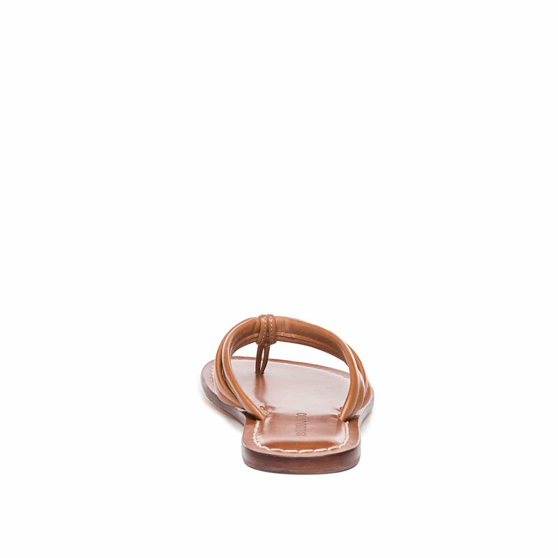 Sandalias Deslizantes Bernardo Miami Thong Mujer Marrones | PWE2983SY