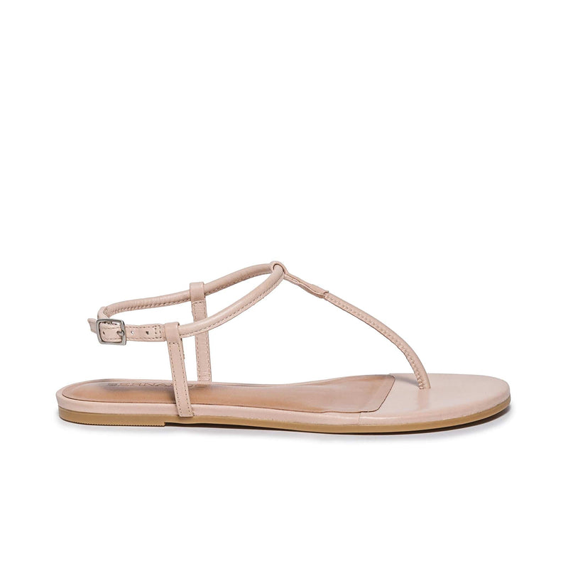 Sandalias Planas Bernardo Haven Thong Mujer Rosas | SEU2042EY