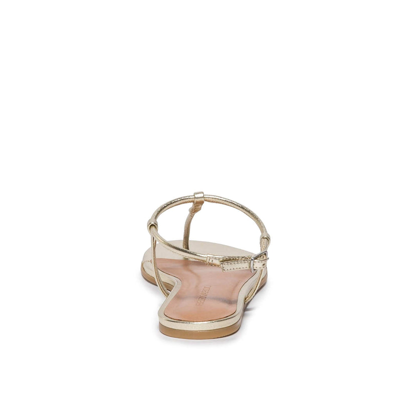 Sandalias Planas Bernardo Haven Thong Mujer Doradas | VLE981SO
