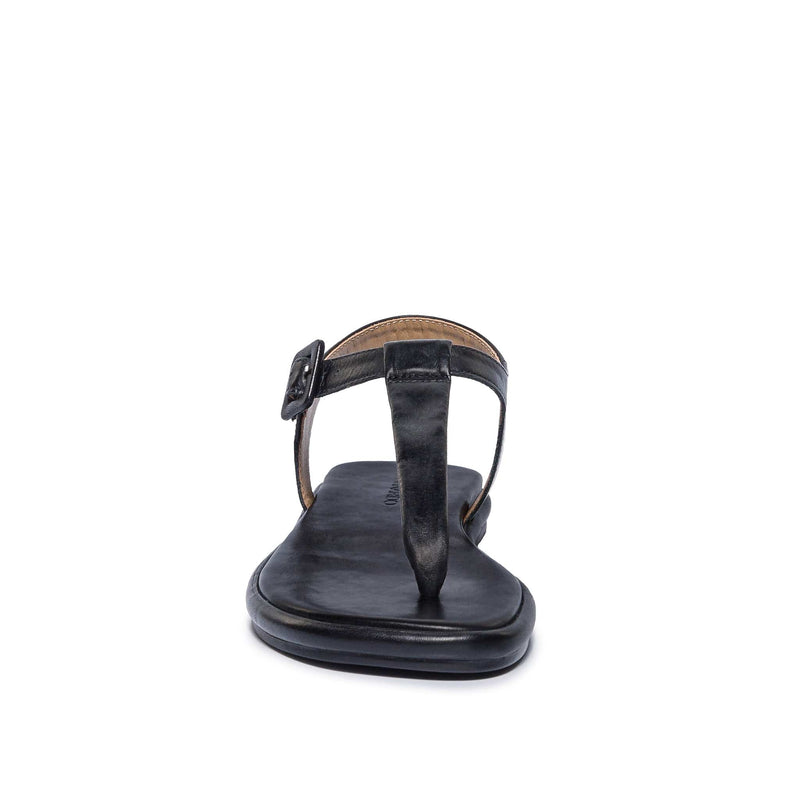 Sandalias Planas Bernardo Tucson T-Strap Mujer Negras | IQG2518KR